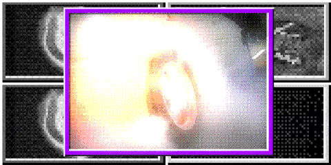 How Phonk Became the Most Lucrative Yet Lifeless Genre of the 2020s